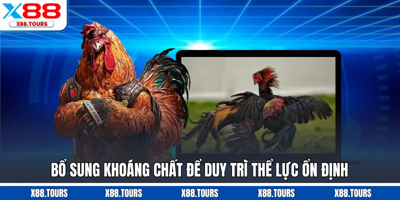 Bổ sung khoáng chất để duy trì thể lực ổn định