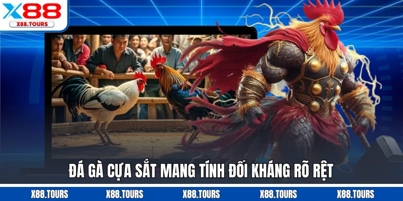 Đá gà cựa sắt mang tính đối kháng rõ rệt